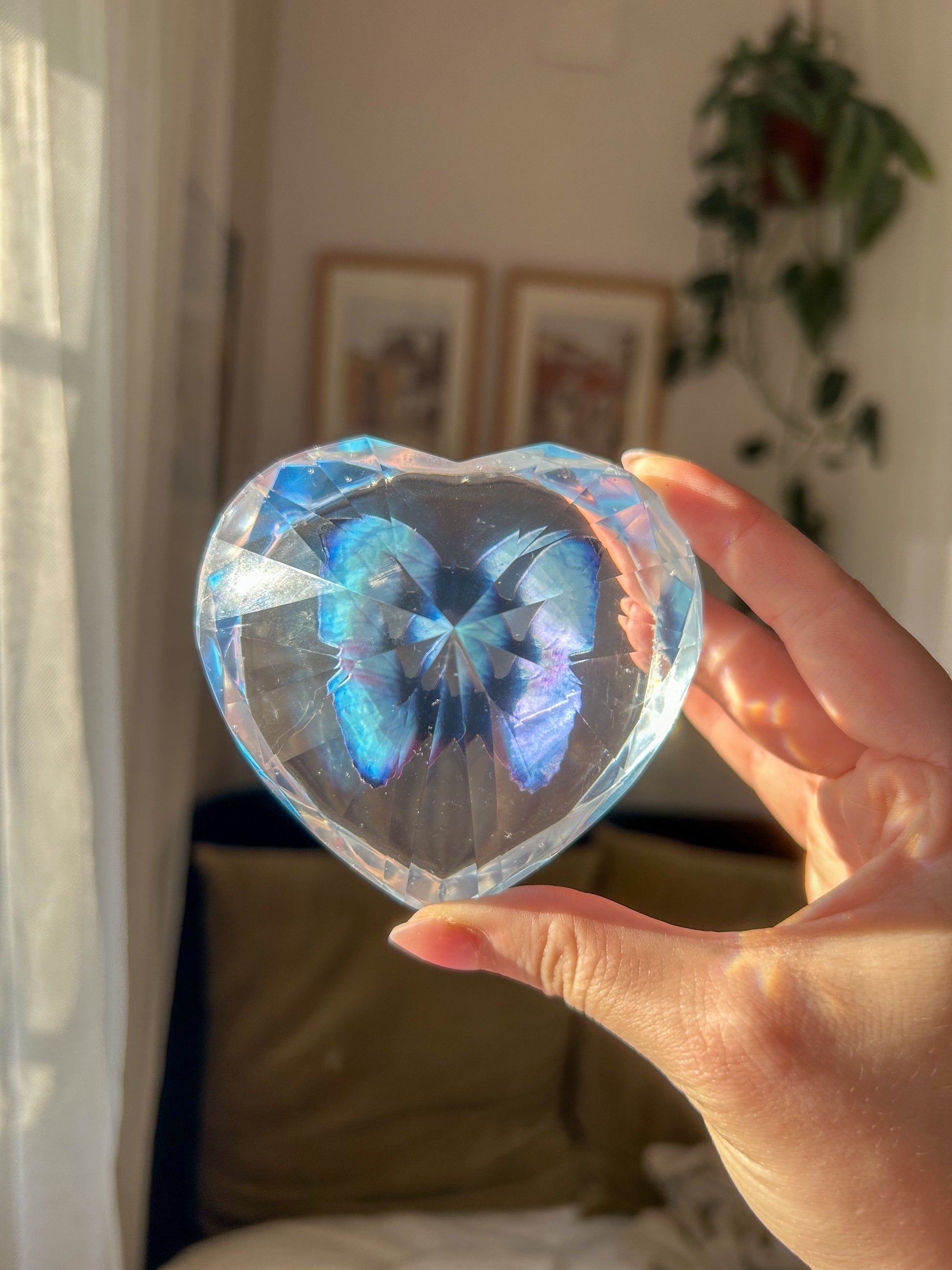 Heart-shaped resin paper holder featuring a faux blue monarch butterfly encased in clear resin. A nature-inspired handmade desk accessory perfect for home office decor or as a unique gift.